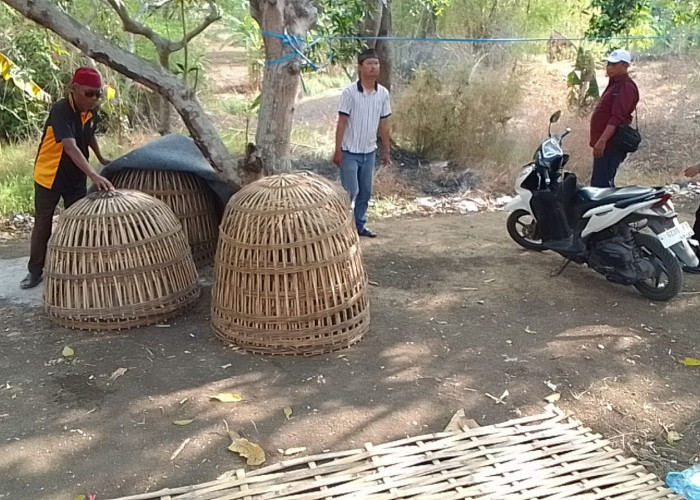 Gerak Cepat Polres Gresik Respons Aduan Warga, Gerebek Sabung Ayam di Menganti dan Amankan Barang Bukti