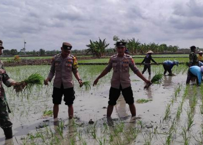 Sinergi Lintas Sektor Perkuat Ketahanan Pangan di Lamongan