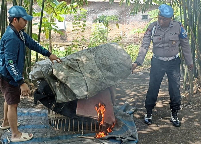 Polisi Bongkar Arena Sabung Ayam Seketi Balongbendo