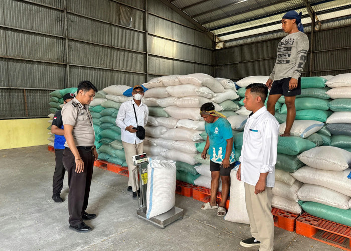 Polres Pelabuhan Tanjung Perak Pasok 1 Ton Jagung Hasil Panen Binaan ke Bulog