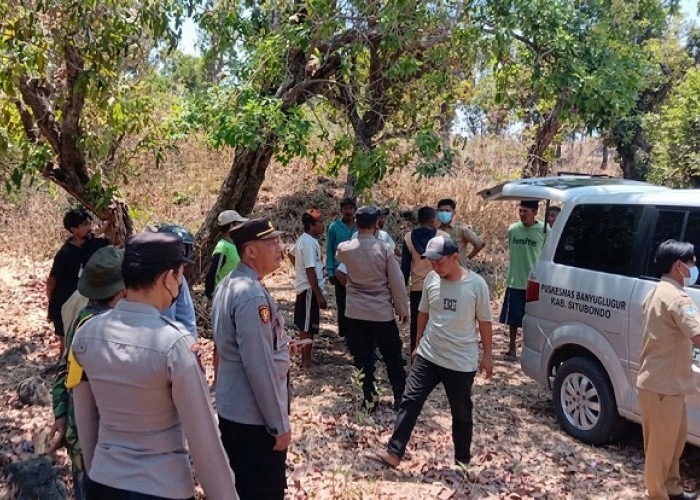Bakar Rumput untuk Bersihkan Ladang, Wanita Situbondo Ikut  Terpanggang