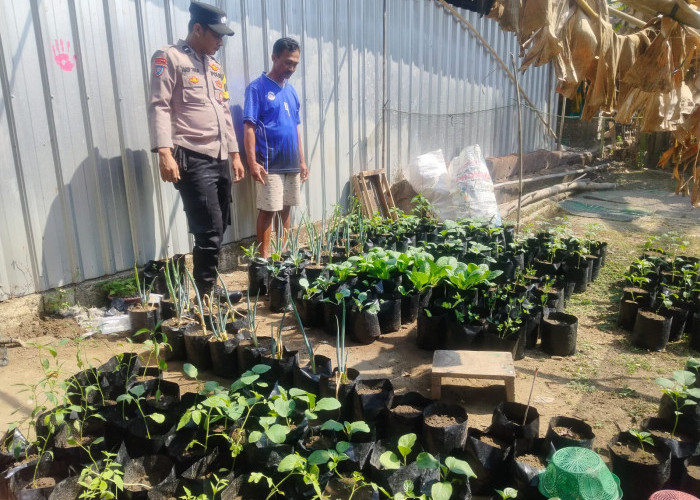 Bhabinkamtibmas Geneng Monitoring Pekarangan Sayuran, Dorong Ketahanan Pangan Keluarga di Ngawi 