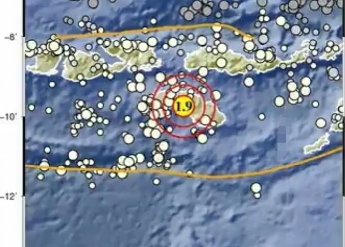 Gempa Bumi 2,3 Magnitudo Guncang Sulawesi Tengah Pagi Ini