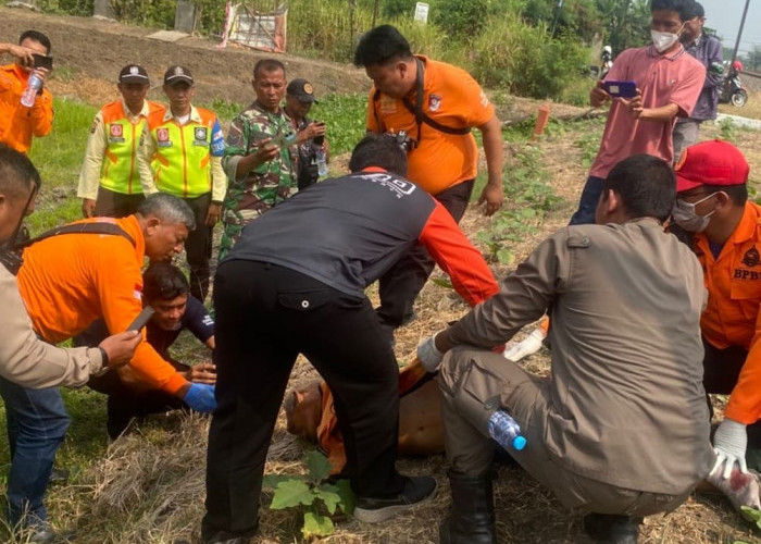Pencari Burung Pakal Tewas Tersambar Kereta Api