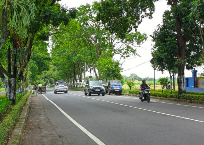 Wacana Proyek Twinroad Sukomoro - Stadion Yosonegoro Magetan Butuh Rp 100 Miliar Lebih