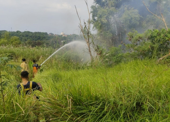 Masuk Kemarau, Damkar Gresik Instruksikan Camat Imbau Desa Waspada Kebakaran Lahan
