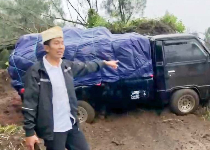 Hujan Deras Picu Longsor di Tosari Pasuruan, Truk Terjun 50 Meter dan Akses Jalan Lumpuh