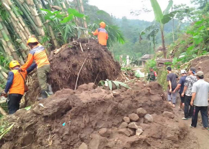 Jalur Alternatif Pasuruan–Probolinggo Lumpuh Akibat Longsor di Lumbang
