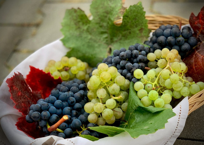 Wow! Inilah 5 Manfaat Buah Anggur untuk Kesehatan yang Jarang Diketahui