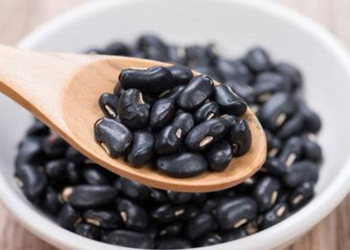 Kacang Hitam, Si Mungil yang Kaya Serat dan Protein