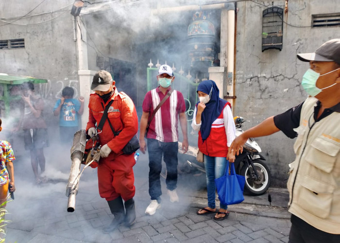 8 Warga Positif DBD, Kelurahan Gading Surabaya Gelar Fogging Massal