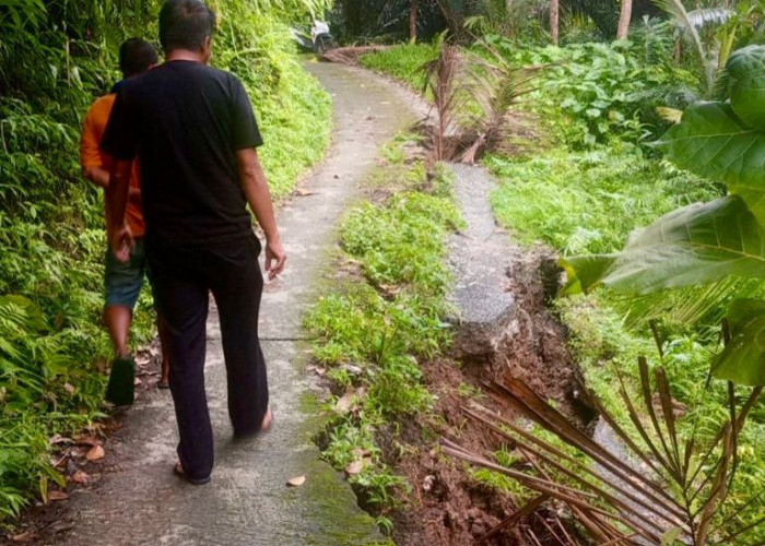 Longsor Terjang Gunung Malang Bawean, BPBD Gresik Soroti Maraknya Penebangan Pohon