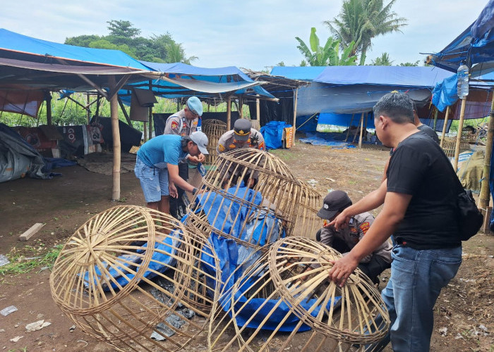 Arena Judi Sabung Ayam Dusun Garit Dibongkar Polisi