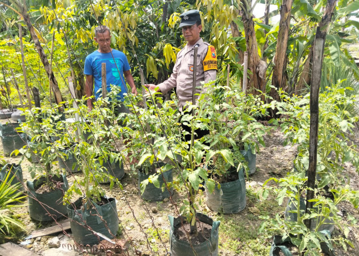 Bhabinkamtibmas Desa Kedungprahu Monitoring Lahan Cabai Warga, Dukung Ketahanan Pangan di Ngawi 