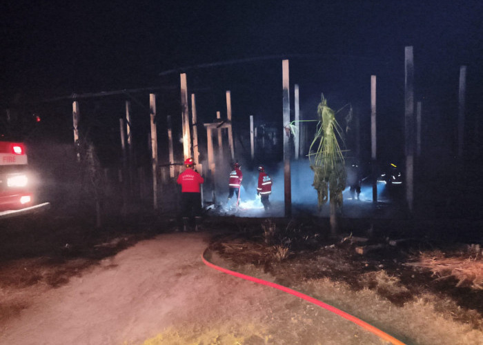 Kandang Beserta 3 Ribu Ekor Ayam Petelur di Boro Terbakar, Kerugian Ratusan Juta