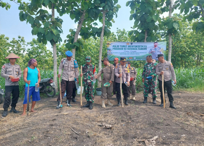 Dukung Ketahanan Pangan, Kapolsek Gayam Berikan Tanam Jagung di Lahan EMCL