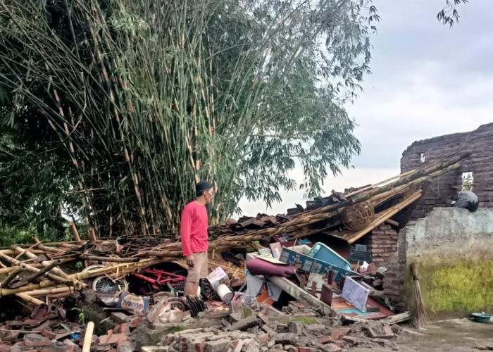Cuaca Ekstrem Hancurkan Rumah dan Lumpuhkan Akses Jalan Jember 