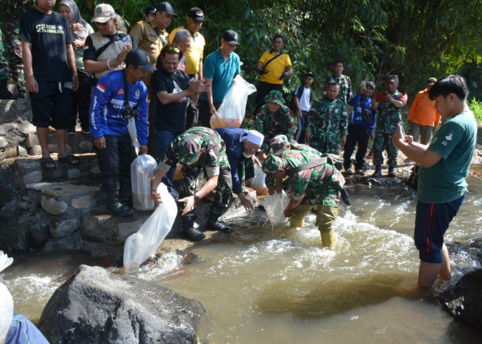 Resik-resik Kali Bedadung dan Tebar Ikan, Kodim 0824/Jember Gandeng Santri hingga Mahasiswa