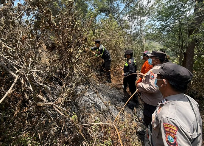 Karhutla Hanguskan 3 Hektare Hutan TNBTS, Polres Lumajang Kerahkan Puluhan Personel