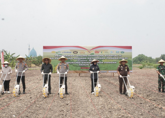 Dukung Swasembada Pangan, Polresta Sidoarjo Tanam Jagung Kuartal IV