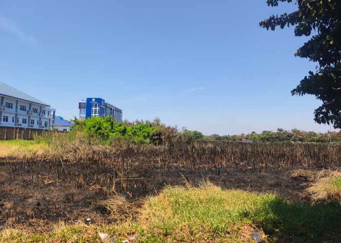 Lahan Kosong Sisi Timur Puri Galaxy Terbakar, Pemicu Api Belum Dipastikan