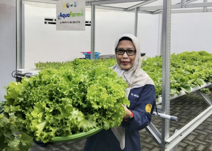 Hari Pangan Sedunia, Akademisi Unesa Ajak Warga Sulap Pekarangan Jadi Sumber Pangan