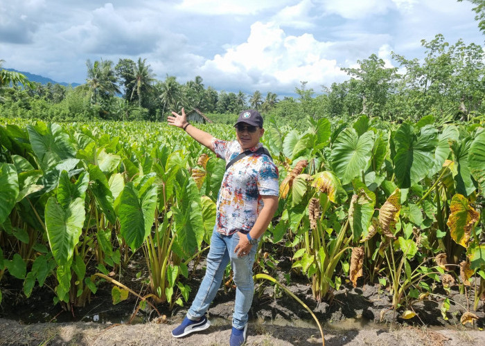 PT Yafo Agro Indonesia Dukung Diversifikasi dan Ketahanan Pangan yang Ramah Lingkungan