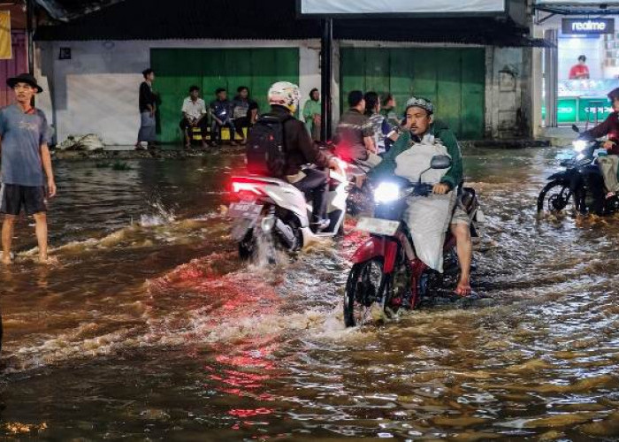 Bupati Jember Tinjau Banjir Mumbulsari, Koordinasi dengan Provinsi untuk Penanganan Cepat