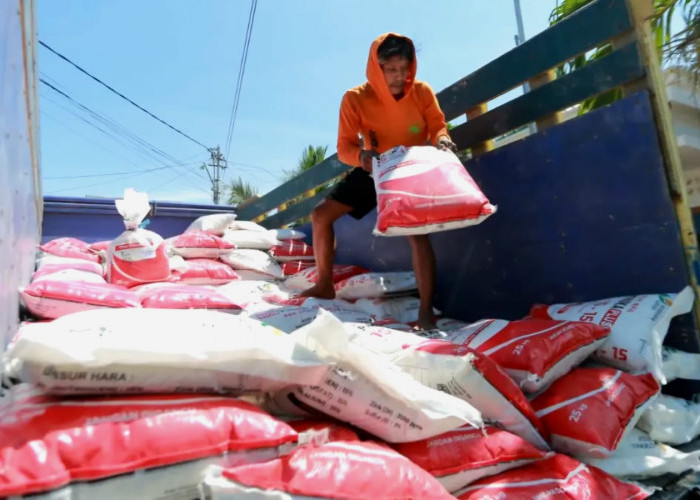 DKPP Kota Madiun Salurkan 78,8 Ton Pupuk Senilai Rp 1,1 Miliar untuk 34 Kelompok Tani