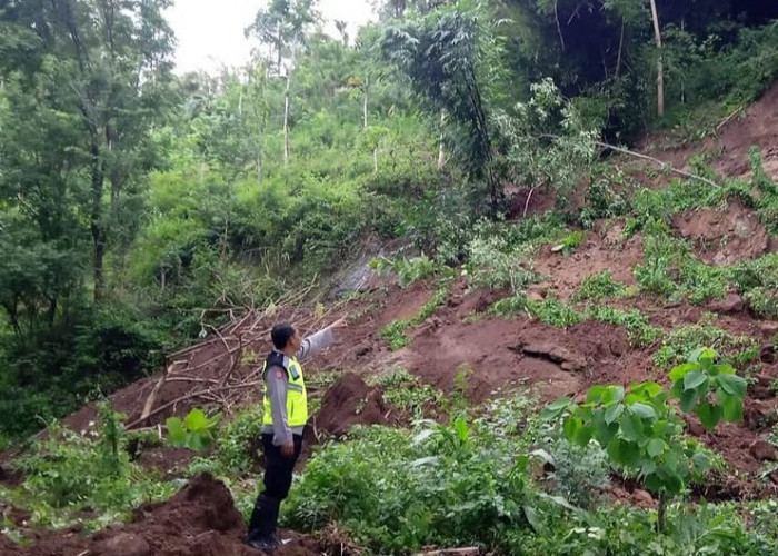 Tebing Mulyosari Longsor, Polisi Bersama BPBD Tulungagung Evakuasi Wisatawan Ranu Gumbolo