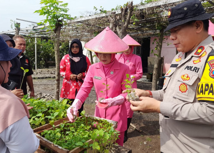 Polisi dan Warga Tanam Cabai dan Terong di Desa Sambibulu