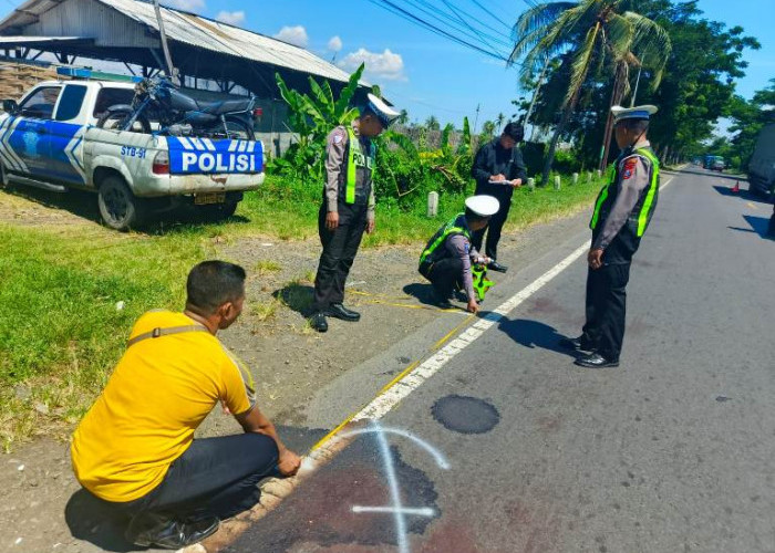 Tabrak Truk Boks, Staf Sipil Polsek Asembagus Meninggal di Jalur Pantura Situbondo