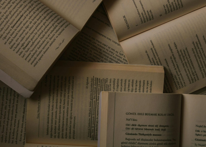 Lagi Cari Bacaan Baru? Novel Terjemahan Ini Cocok untuk Temani Waktu Santai