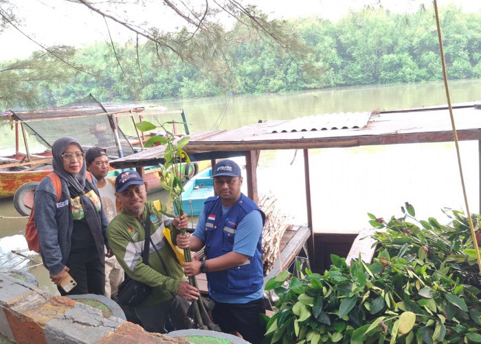 Perluas Program Donasi Oksigen, PT Terminal Petikemas Surabaya Tanam Mangrove di Romokalisari