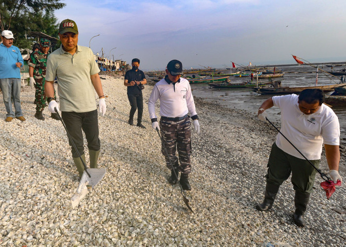 Puluhan Ribu Warga Surabaya Kerja Bakti Massal di Pantai Kenjeran