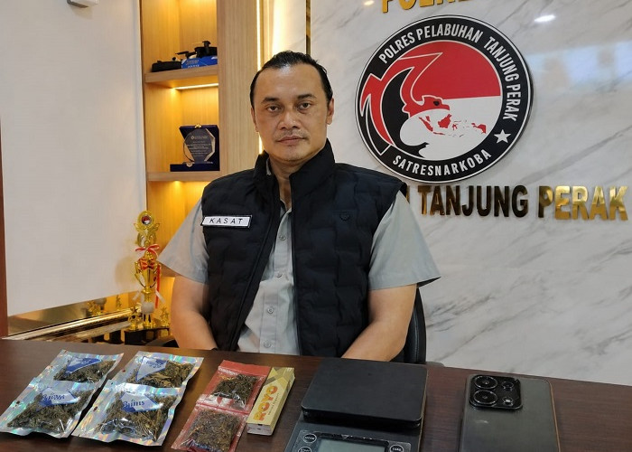 Bisnis Ganja Sistem Ranjau Terbongkar, Pemuda Banyu Urip Diringkus Polres Pelabuhan Tanjung Perak
