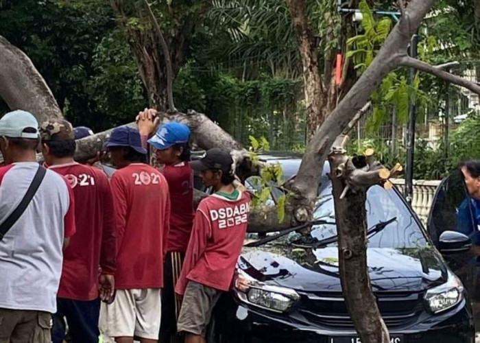 Hujan Deras Disertai Angin Kencang Sebabkan Sejumlah Pohon Tumbang dan Rumah Rusak di Surabaya