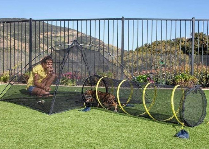 Inspirasi Desain Kandang Kucing, Bikin Hunian Makin Nyaman dan Estetis