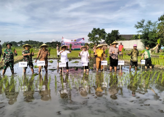 Polri Hadir di Tengah Petani, Percepatan Tanam di Kaliombo Perkuat Ketahanan Pangan