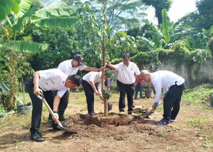 Kantor ATR/BPN Jember Tanam 100 Pohon Buah dalam Rangka Hari Lingkungan Hidup Sedunia