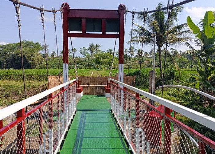Jembatan Perintis Garuda Lumajang Hampir Rampung, Perkuat Akses Ekonomi Warga