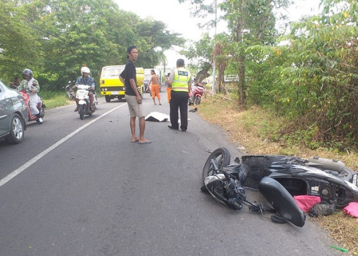 Motor Adu Banteng di Cerme Gresik,  Warga  Benjeng Meninggal di Tempat