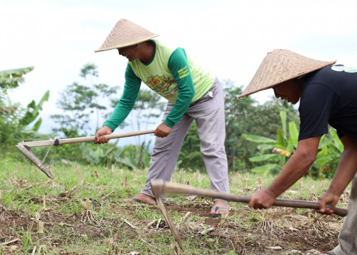 Konflik Belasan Tahun Berakhir, Sertipikat Redistribusi Tanah dari BPN Buka Jalan Pemulihan Ekonomi Desa Soso