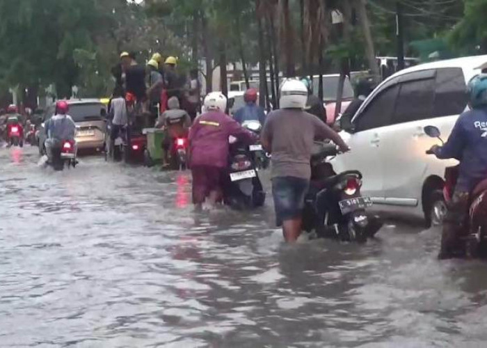 Surabaya Dikepung Banjir, Warga Keluhkan Sistem Drainase: 112 Pohon Tumbang dan Bangunan Roboh