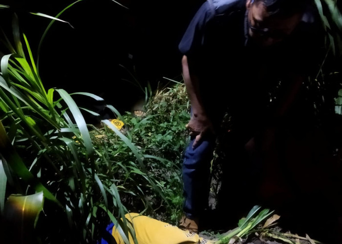 Tak Kunjung Pulang Usai Pupuk Jagung, Petani di Kota Blitar Ditemukan Meninggal Dunia di Tengah Sawah