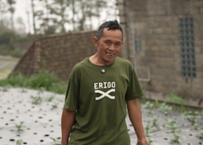 Berkat Program MBG, Petani Boyolali ini Bisa Salurkan hingga 40 Kg Selada