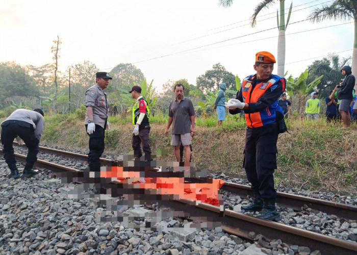 Depresi, Warga Kota Blitar Tewas Menabrakkan Diri ke Kereta Api