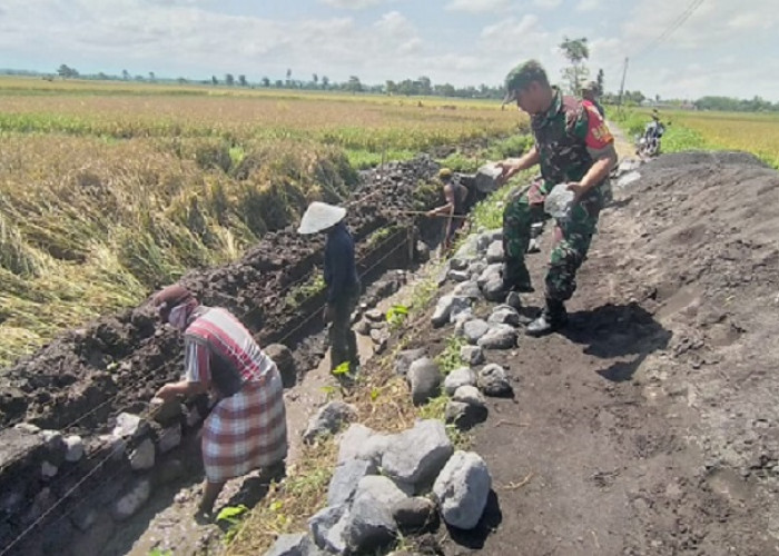 Babinsa Dawuhan Wetan Bangun Drainase Irigasi di Lumajang Perkuat Ketahanan Pangan