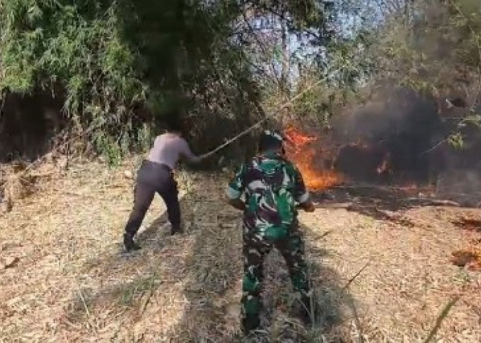 Kebakaran Rumpun Bambu di Barurejo Sambeng Lamongan, Polisi Ultimatum Warga Bakar Sampah