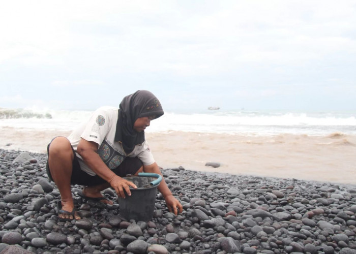 Buruh Batu Pantai Selatan Lumajang Bertaruh Nyali di Tengah Ombak Demi Rupiah